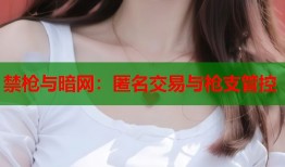 禁枪与暗网：匿名交易与枪支管控