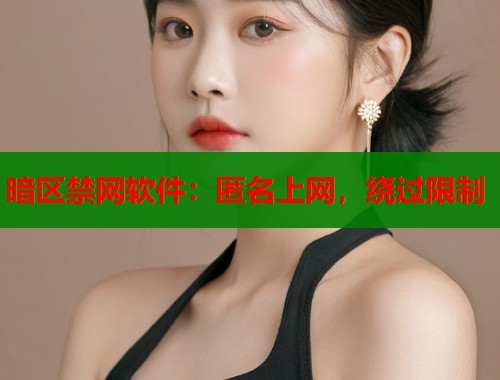 暗区禁网软件：匿名上网，绕过限制