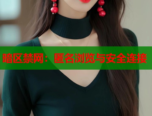 暗区禁网：匿名浏览与安全连接