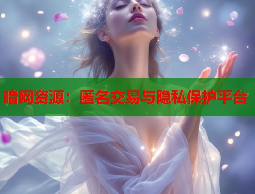 暗网资源：匿名交易与隐私保护平台