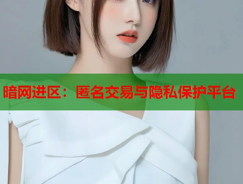 暗网进区：匿名交易与隐私保护平台