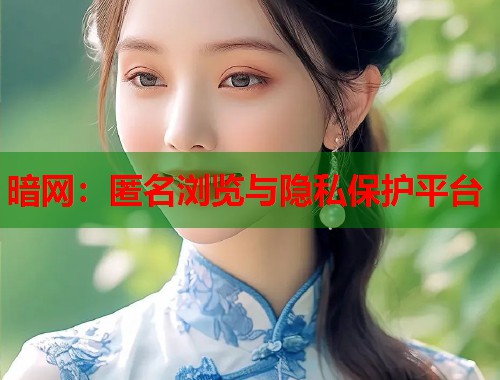 暗网：匿名浏览与隐私保护平台