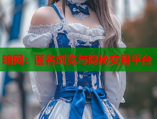 暗网：匿名浏览与隐秘交易平台