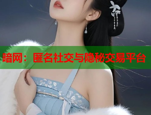 暗网：匿名社交与隐秘交易平台