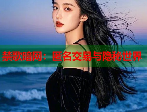 禁歌暗网：匿名交易与隐秘世界