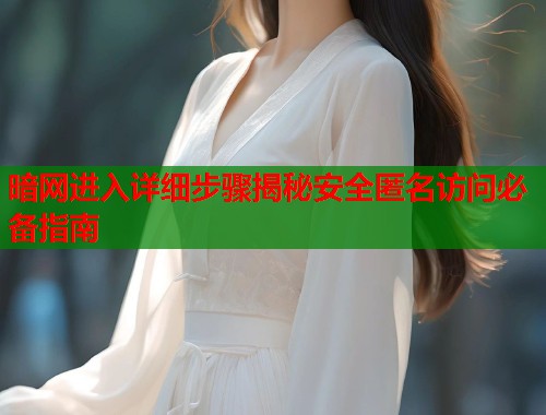暗网进入详细步骤揭秘安全匿名访问必备指南