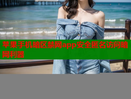 苹果手机暗区禁网app安全匿名访问暗网利器