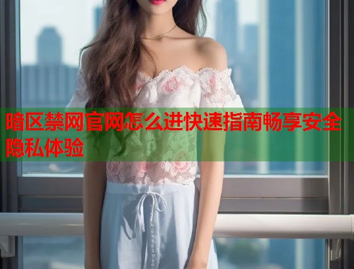 暗区禁网官网怎么进快速指南畅享安全隐私体验