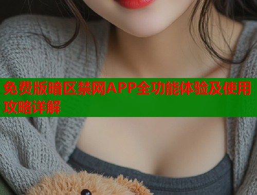 免费版暗区禁网APP全功能体验及使用攻略详解