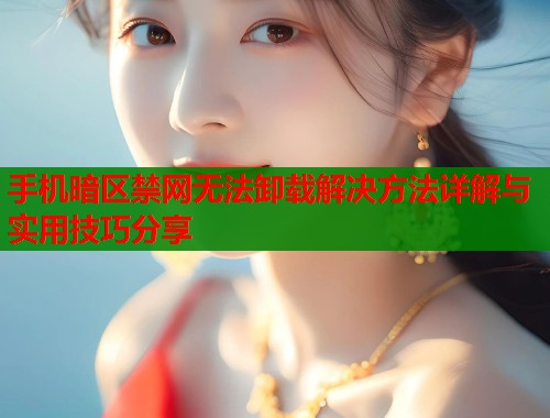 手机暗区禁网无法卸载解决方法详解与实用技巧分享