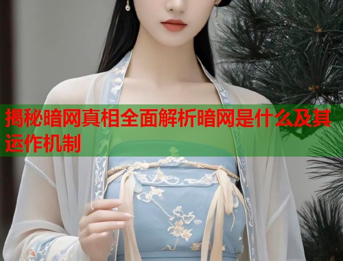 揭秘暗网真相全面解析暗网是什么及其运作机制