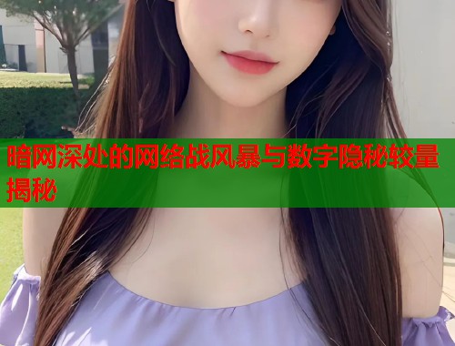暗网深处的网络战风暴与数字隐秘较量揭秘