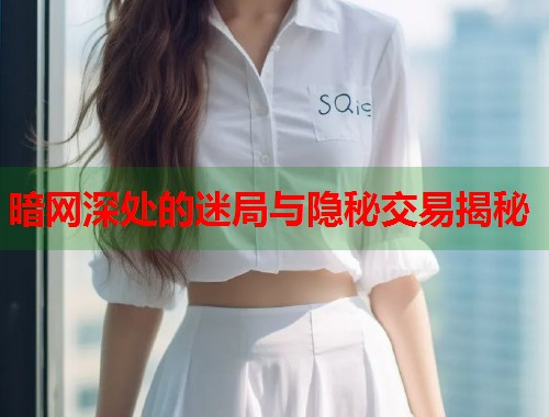 暗网深处的迷局与隐秘交易揭秘