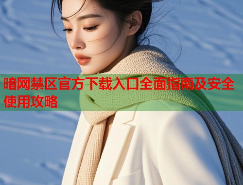 暗网禁区官方下载入口全面指南及安全使用攻略