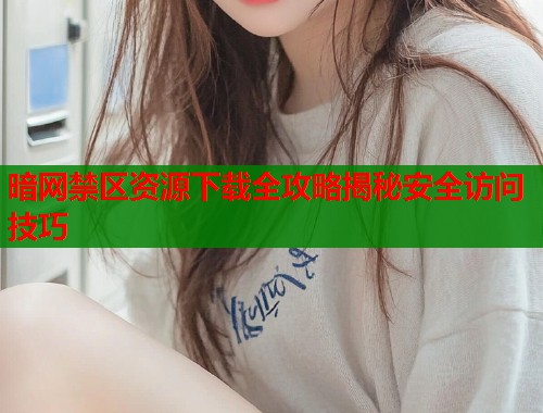 暗网禁区资源下载全攻略揭秘安全访问技巧