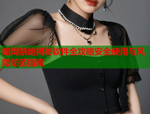 暗网禁地揭秘软件全攻略安全使用与风险防范指南