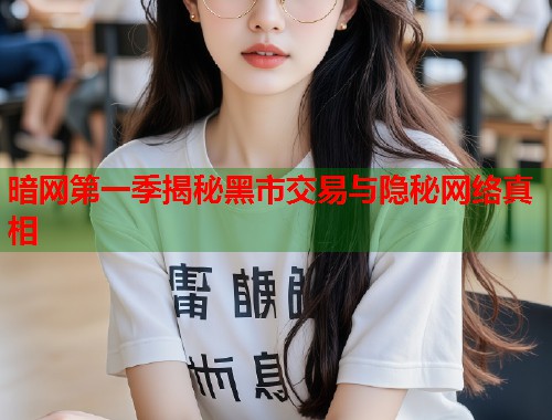 暗网第一季揭秘黑市交易与隐秘网络真相