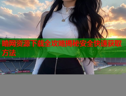 暗网资源下载全攻略揭秘安全快速获取方法