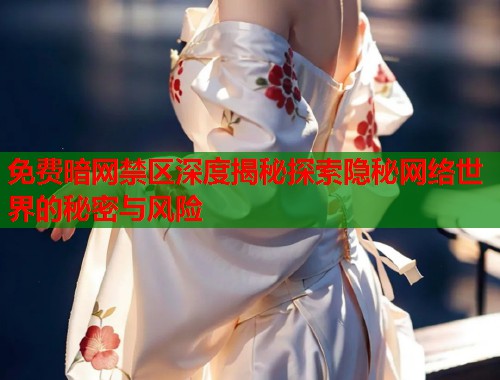 免费暗网禁区深度揭秘探索隐秘网络世界的秘密与风险