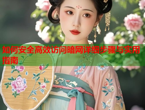 如何安全高效访问暗网详细步骤与实用指南