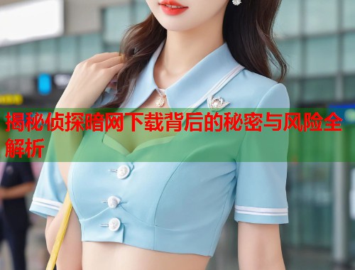 揭秘侦探暗网下载背后的秘密与风险全解析