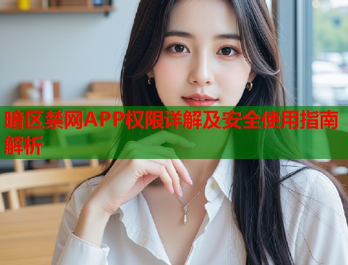 暗区禁网APP权限详解及安全使用指南解析