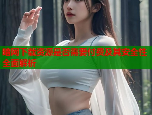 暗网下载资源是否需要付费及其安全性全面解析