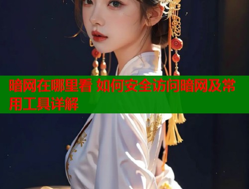暗网在哪里看 如何安全访问暗网及常用工具详解