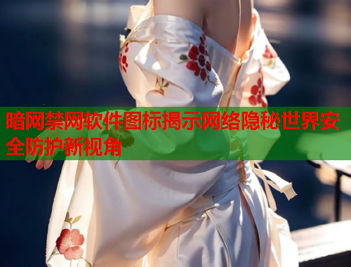 暗网禁网软件图标揭示网络隐秘世界安全防护新视角