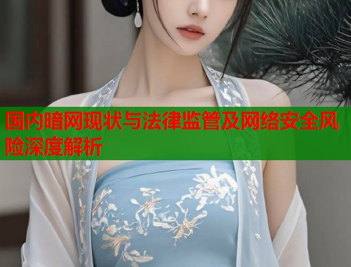 国内暗网现状与法律监管及网络安全风险深度解析