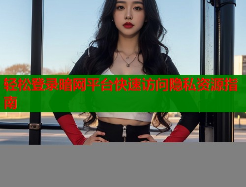 轻松登录暗网平台快速访问隐私资源指南