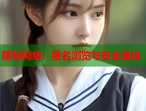 隐秘网络：匿名浏览与安全通信