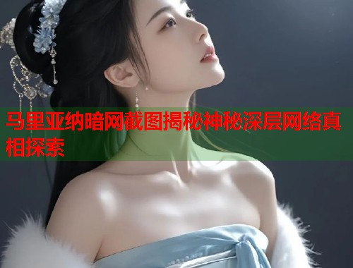 马里亚纳暗网截图揭秘神秘深层网络真相探索